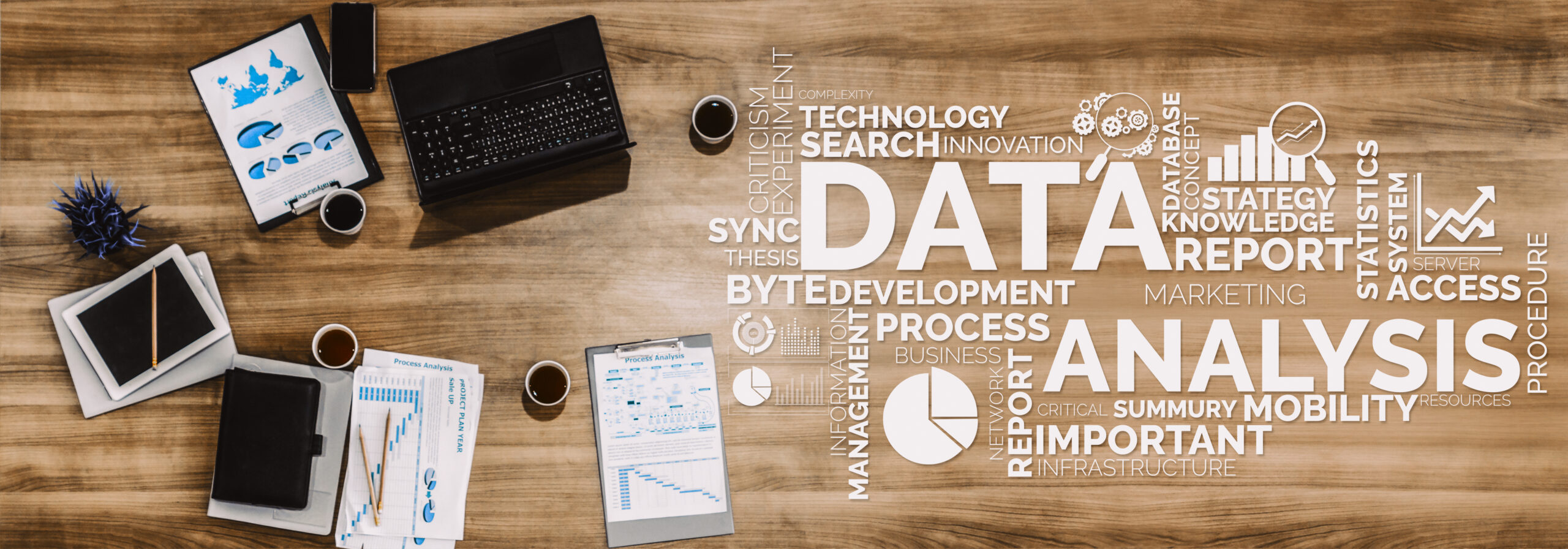 Reports, Dashboards, and Business Intelligence
