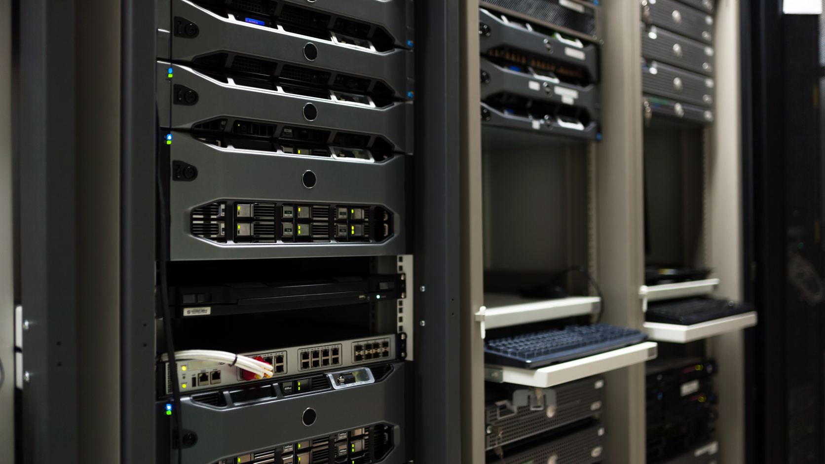 Professional reviewing privacy and data settings in a secure technology environment